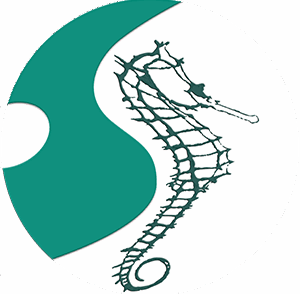 Hippocampus Arts Presentation Specialists